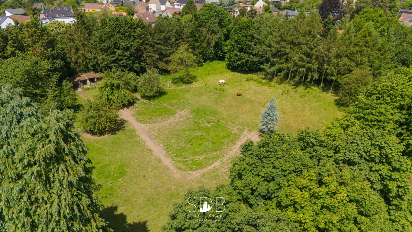 Prachtig kasteel met omringend park, weilanden en stalgebouw op circa 5hectare 