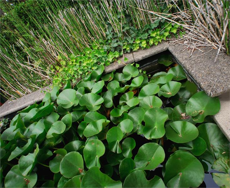 VERKOCHT!! Schitterende, lichtrijke en rustig gelegen burgerwoning te Wondelgem te koop! 