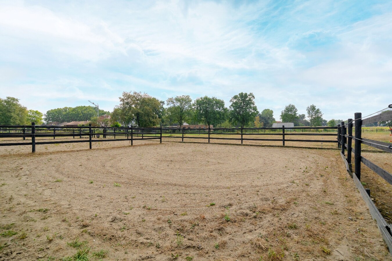 Prachtige paardenaccommodatie op ca. 3,2 ha te Wuustwezel 