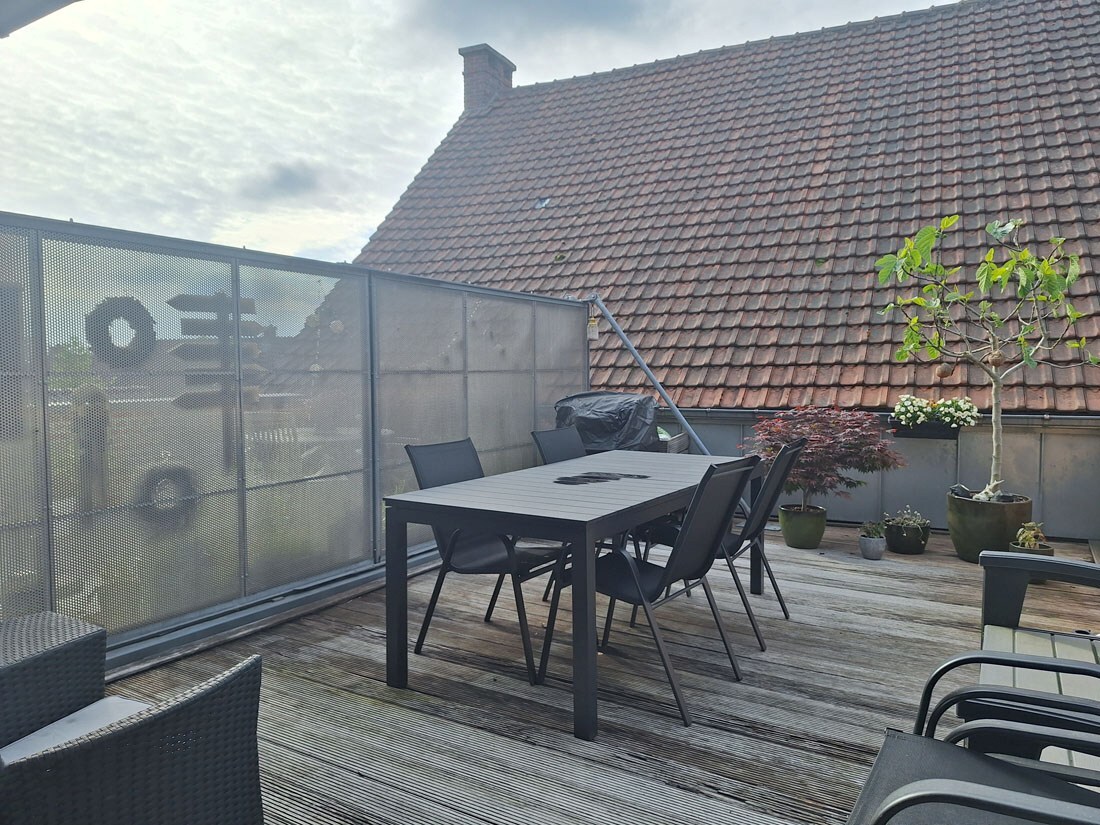 Terras