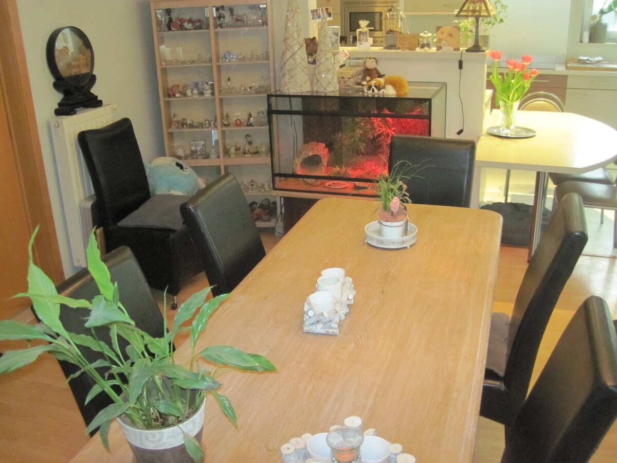 Aangenaam wonen in Semmerzake 