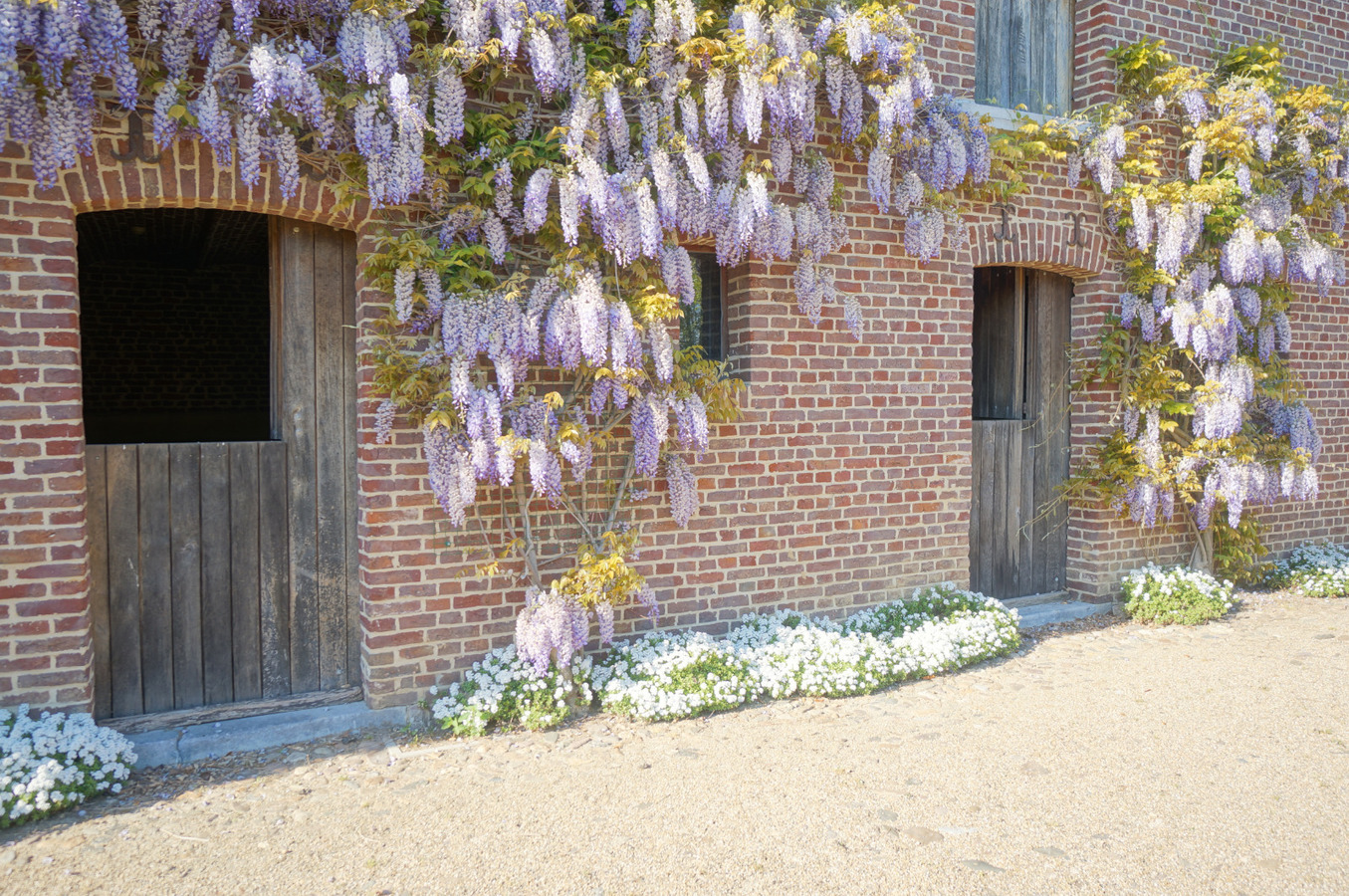 Landgoed met paardenstallen op ca. 7,5 Ha te Maaseik 
