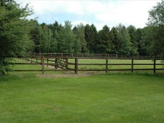 Vendu terrain - Rijkevorsel