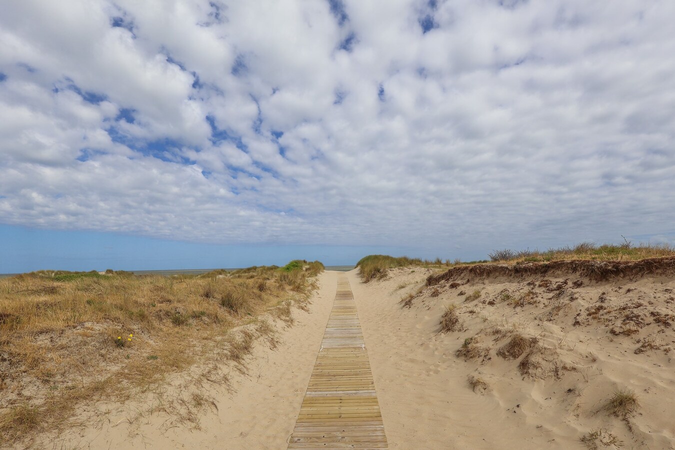 App. avec 2 chambres 