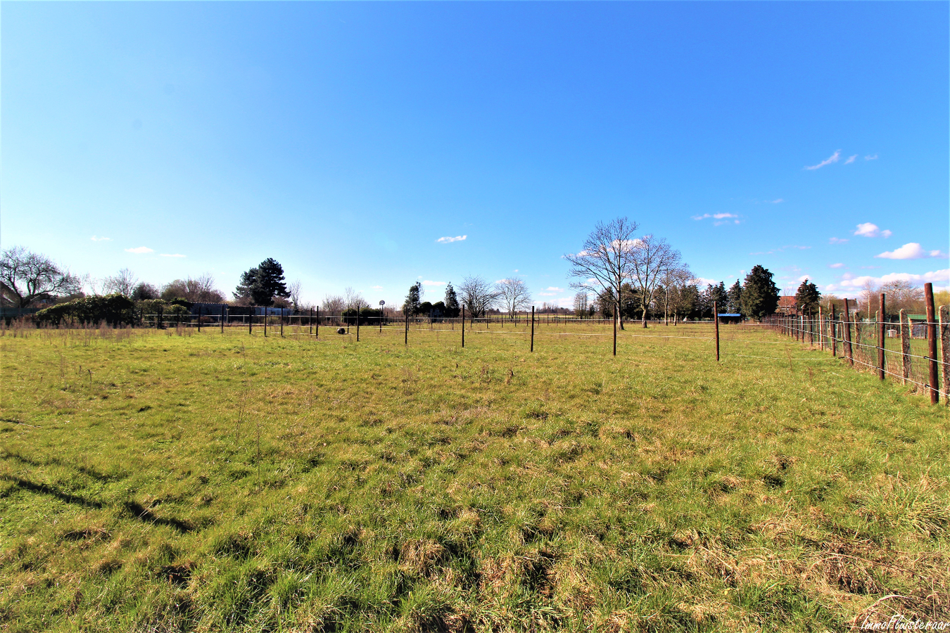 Maison à rénover (1900-1950) avec annexes et prés sur plus de 60a à Geetbets (Brabant Flamand) 