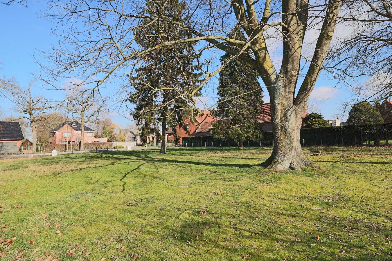 Bouwlot met achterin volwassen eiken (739m) te Lochristi 