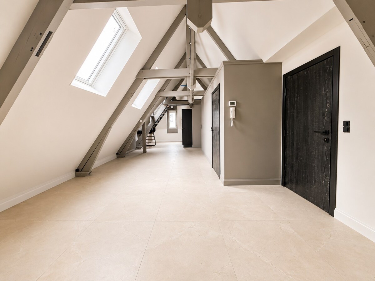 Duplex avec mezzanine en plein centre ville ! 