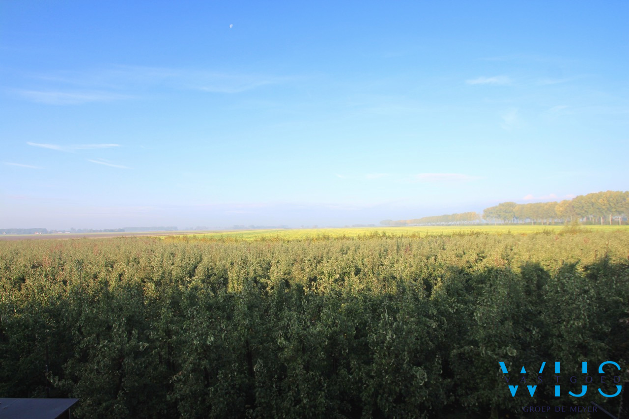 Uniek nieuwbouwproject te BOEKHOUTE ! 