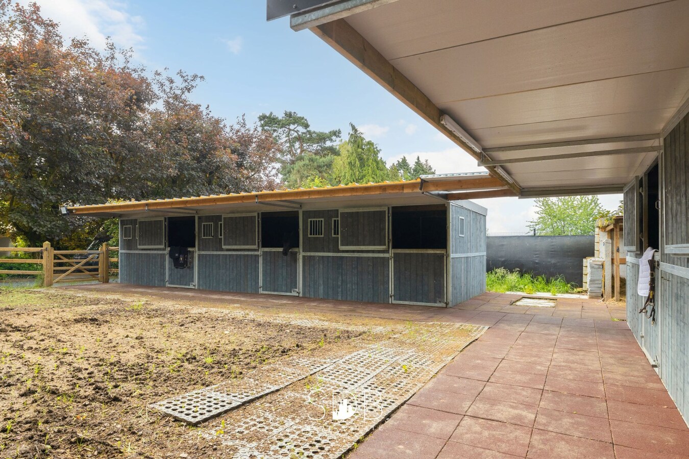 Prachtige villa met zwembad, paardenstallen, paddock en grasland op 1,3HA 