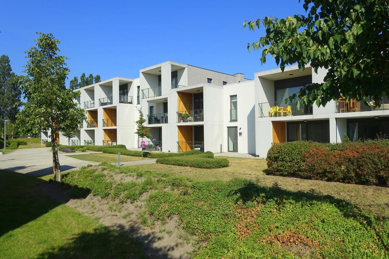 Lichtrijk appartement met terras 