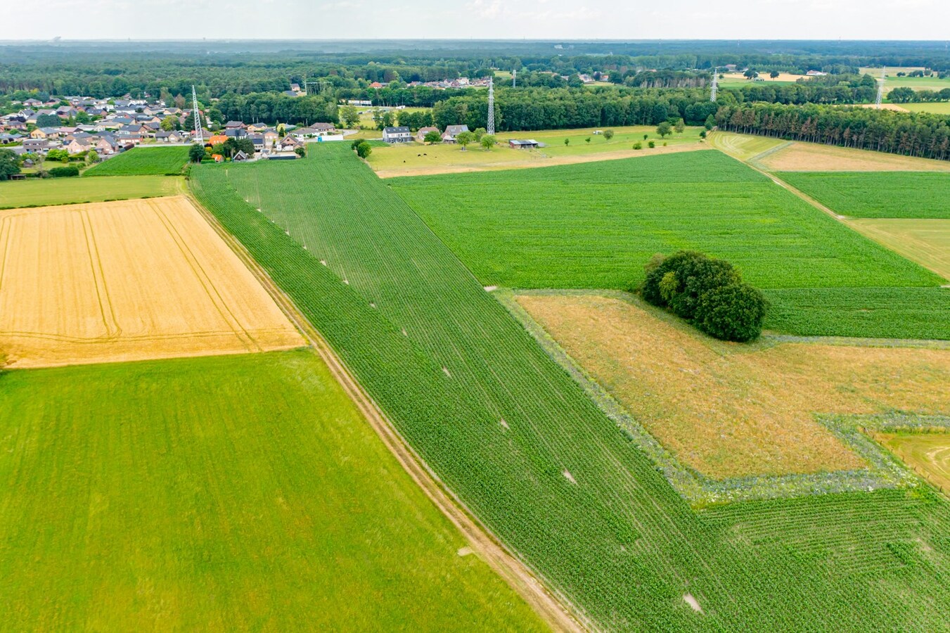 Terrain à bâtir avec des terrains adjacents d'environ 2,5 ha à Wijshagen (Oudsbergen) 