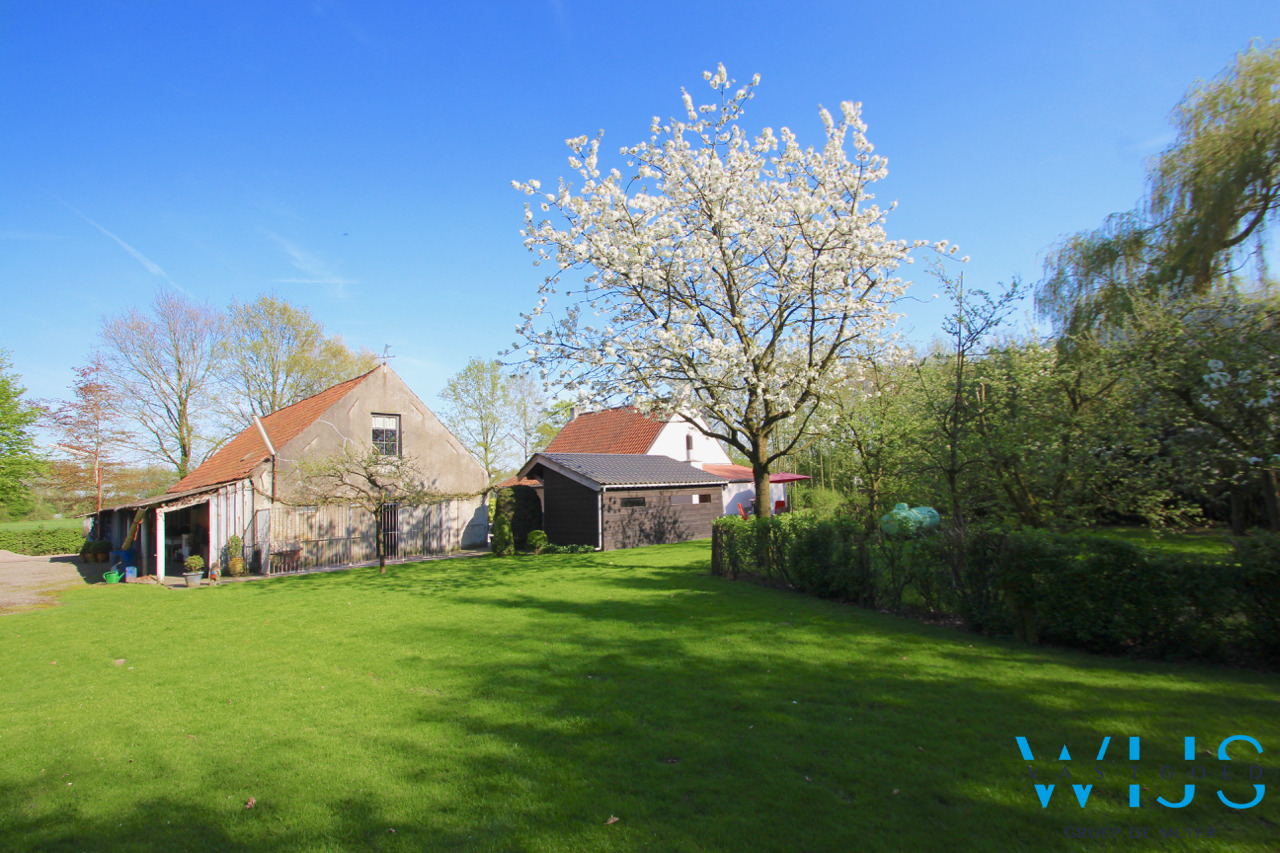Fenomenaal gelegen Hoeve met bijgebouwen te Assenede ! 