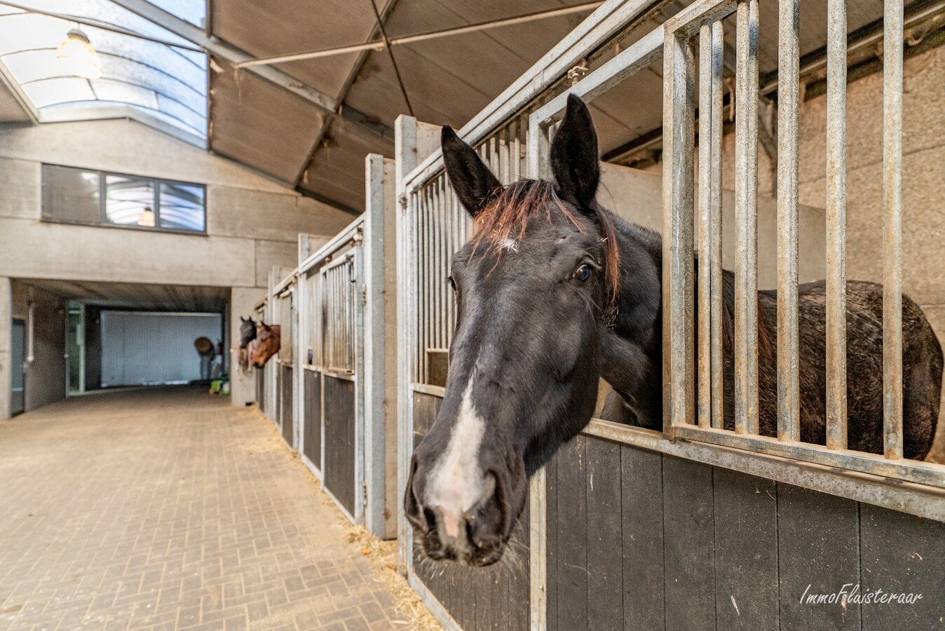 Property for sale in Kampenhout