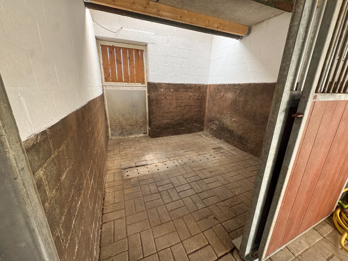 Ruime woning met paardenstallen op ca. 85 are te Kinrooi 