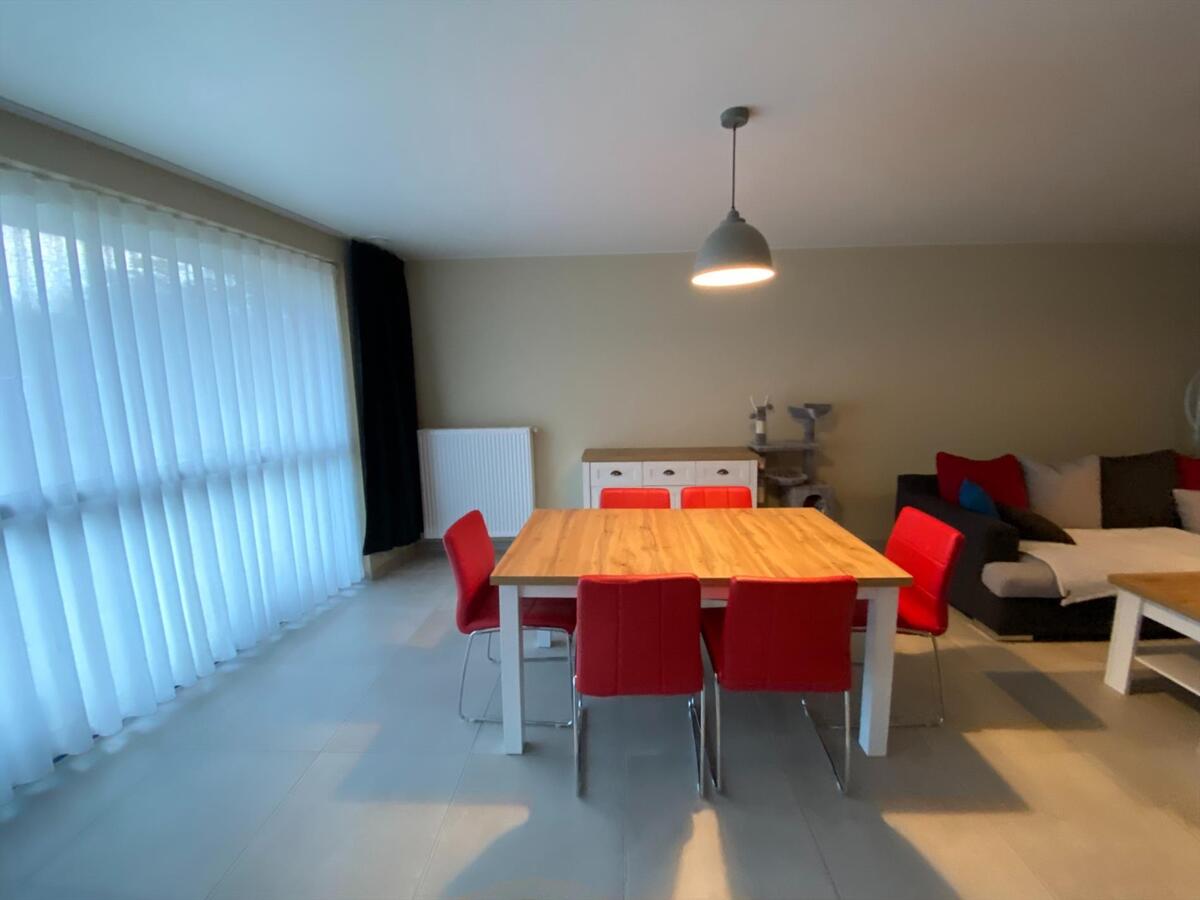 Geschilderd gelijkvloersappartement met 1 slaapkamer in een recent gebouw (2018) 