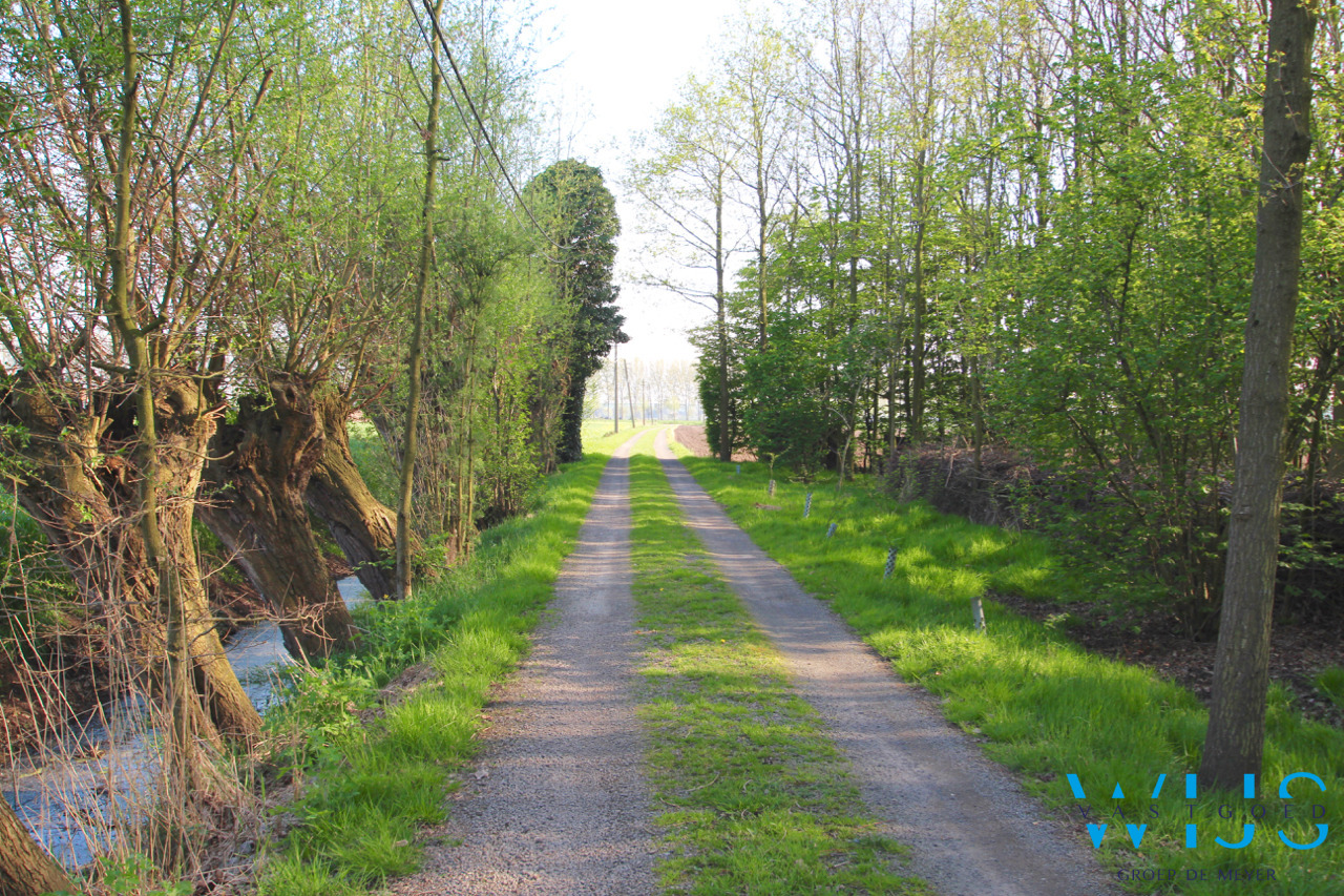 Fenomenaal gelegen Hoeve met bijgebouwen te Assenede ! 
