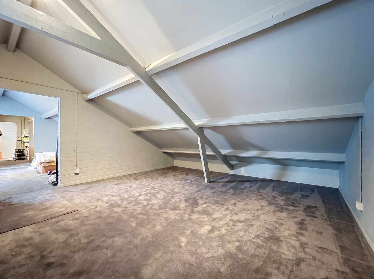 Charmante vrijstaande villa met 3 slaapkamers, ruime zolder en zonnig perceel van 1.500 m² 