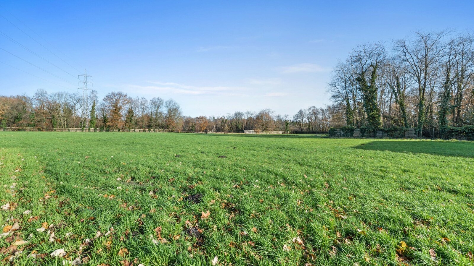 Luxueus landhuis met binnen- en buitenpiste en paardenstallen op een domein van ca. 3 ha te As 