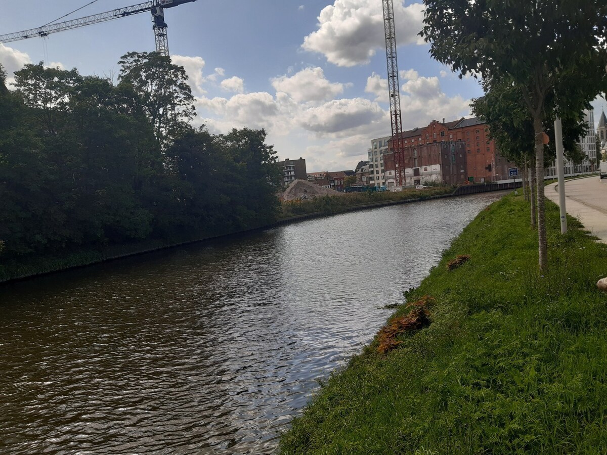 Tof dakappartement met aangenaam zonneterras. 