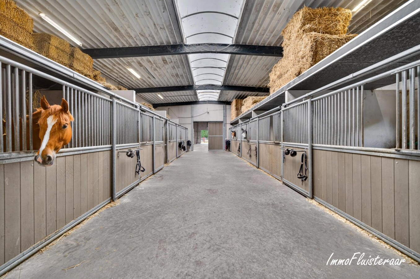 Exclusieve villa met professionele hippische accommodatie op ca. 14,5 ha (mogelijkheid tot aankoop extra gronden) te Astene (Deinze) 