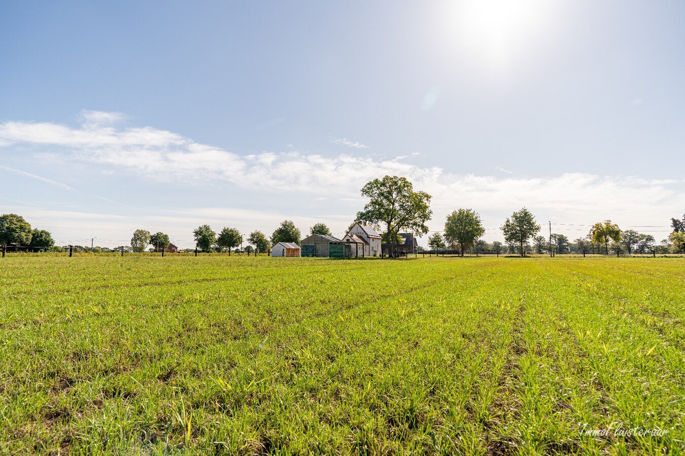 Veelzijdige woning met paardenstallen op ca. 2ha te Helchteren 
