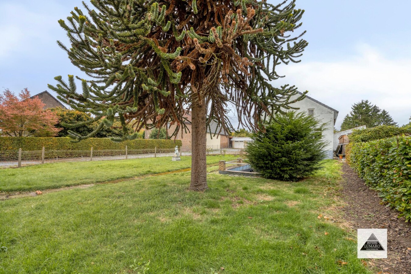 Te renoveren langgevel-hoeve op 3.536 m² in Maasdorp Boorsem 