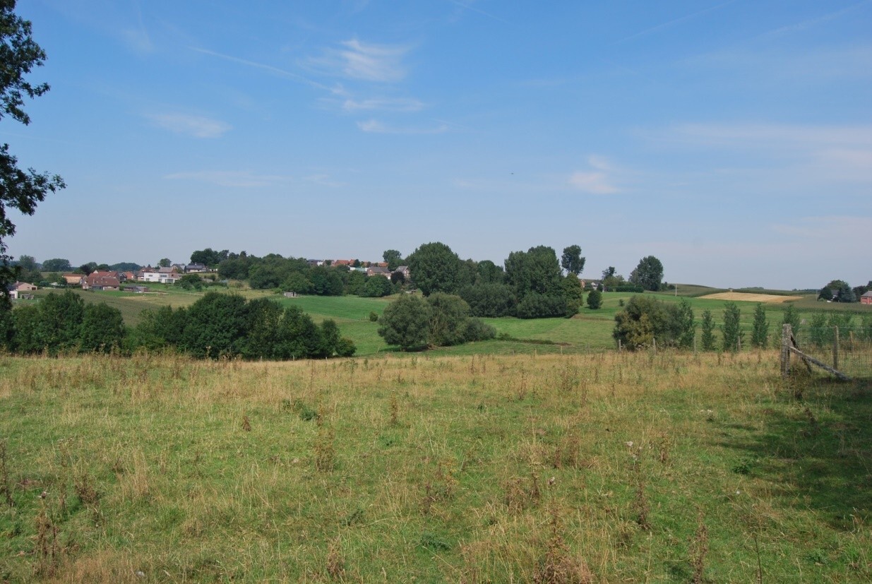 Herenhoeve op 6029m² te Gooik 