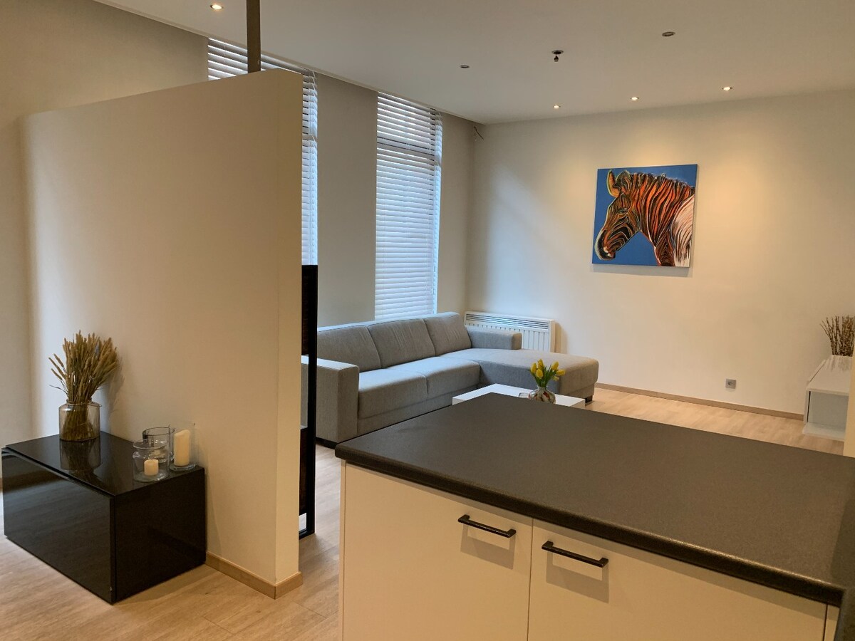 Hedendaags, gelijkvloers appartement in het centrum van Maaseik! 