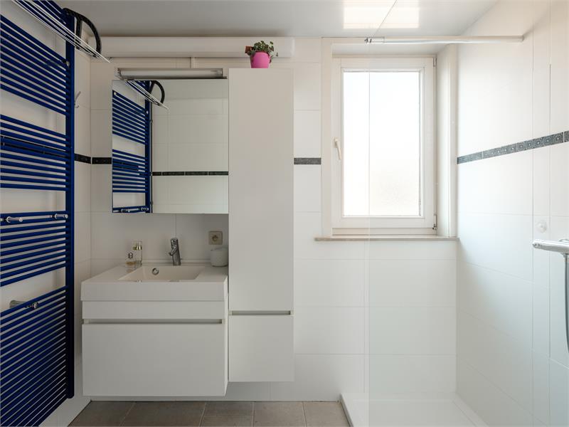 Groen wonen in Sint-Amandsberg 