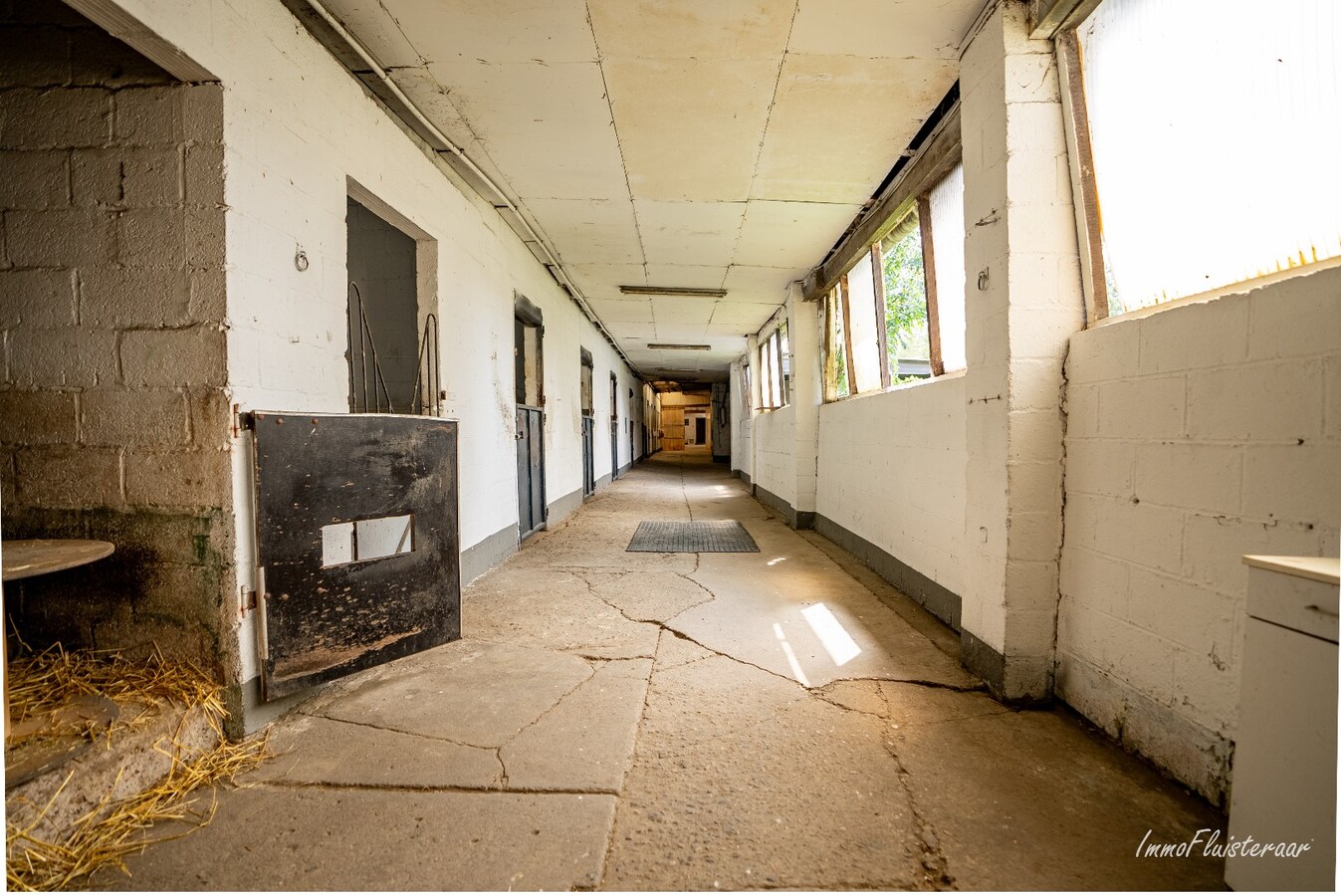 Propriété équestre avec maison à rénover à ca. 90a à Wonck (Bassenge). 