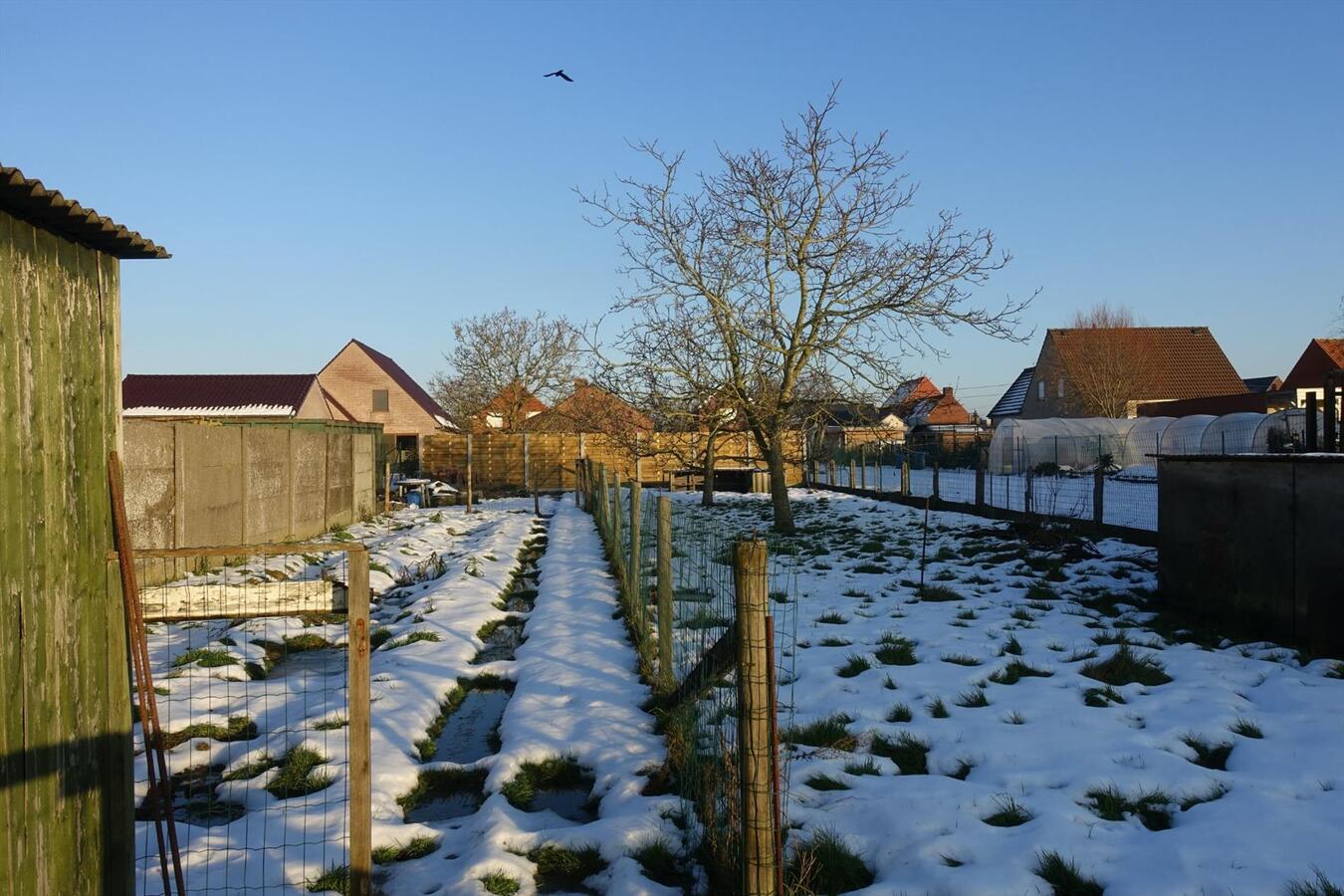 Alleenstaande woning op ruim perceel van 1035 m² 