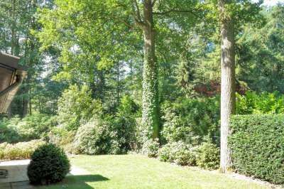 Sfeervolle chalet in het groen 