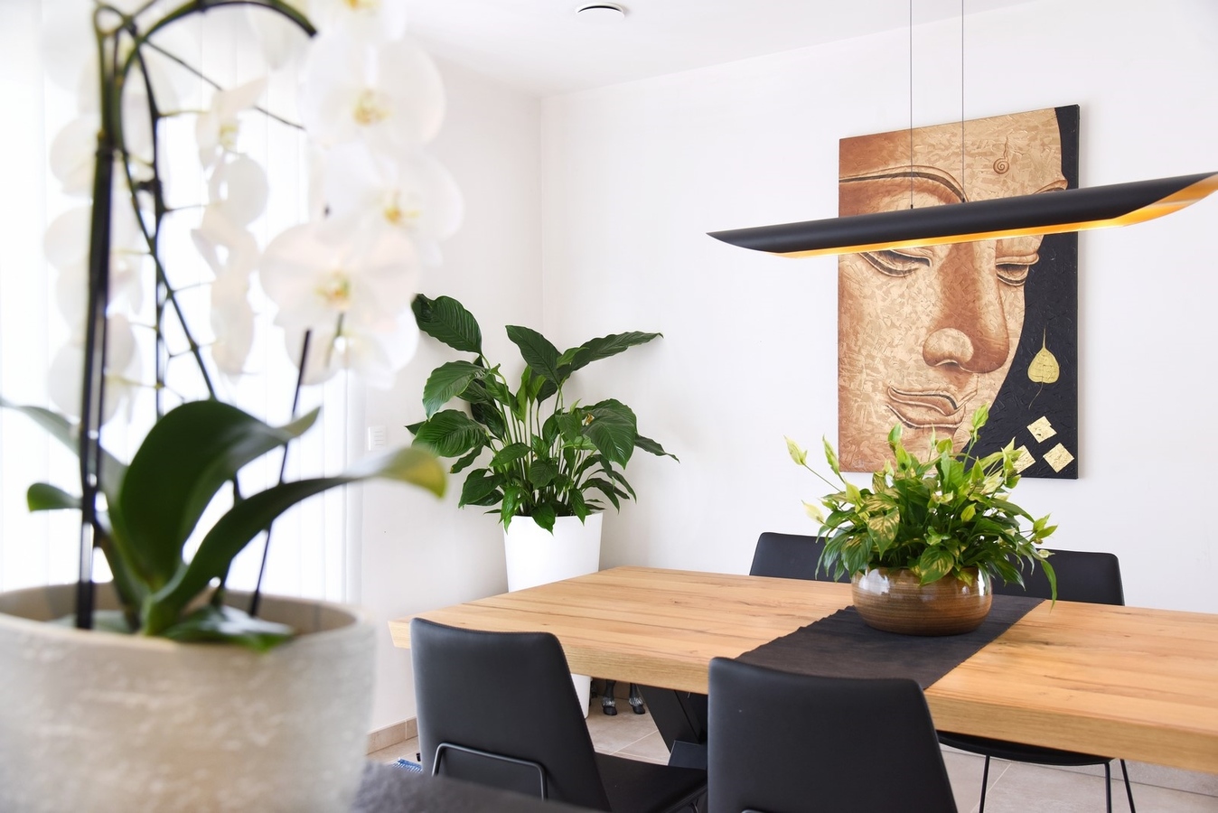 Sublieme modelwoning (nieuwbouw)- Zwankendamme 