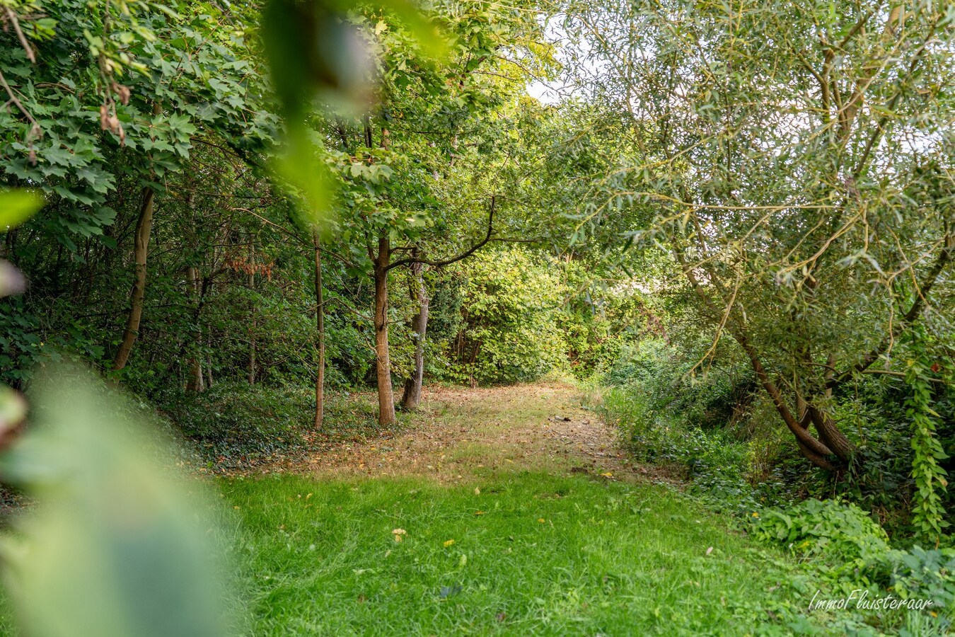 Unique renovation project on a spacious plot of approximately 77 acres in Ransberg (Kortenaken) 