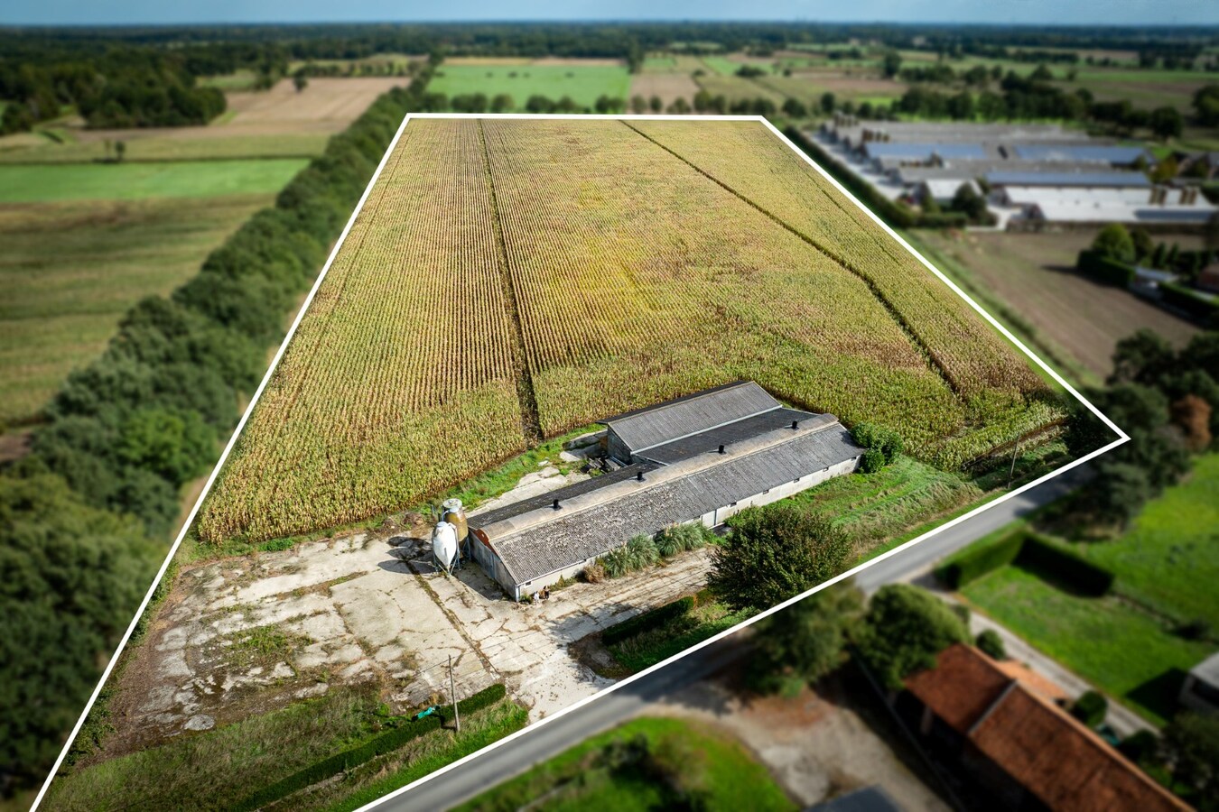 Hoeve met stalgebouwen op ca. 1ha te Bree 