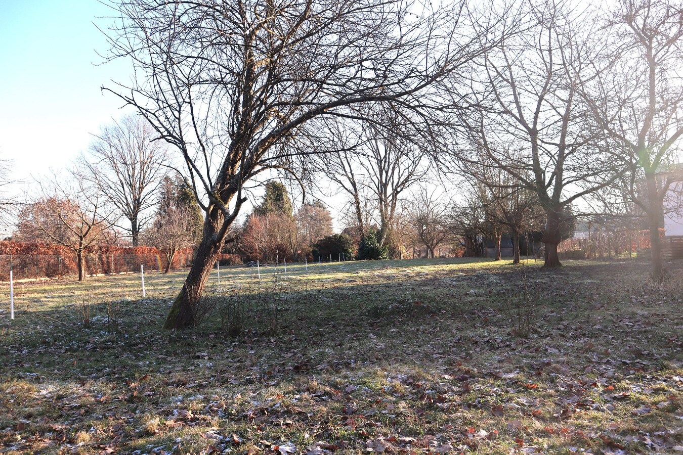 Prachtig gelegen bouwgrond te Bierbeek voor open bebouwing 9 are 45 ca 
