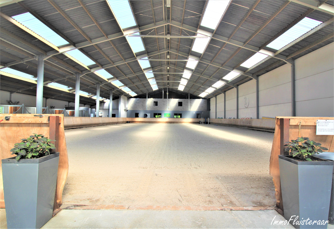 Professional recently built equestrian center on more than 3ha at Hannut (Luik/Liège; Belgium) 