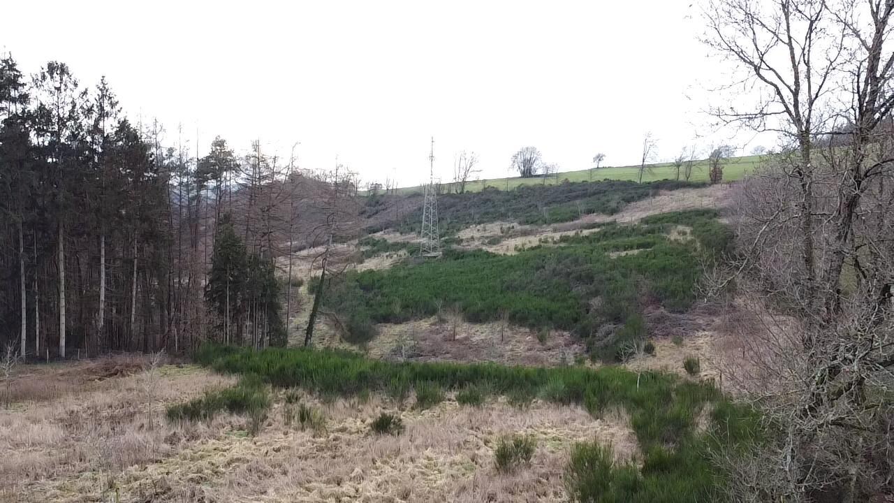 Perceel van 4ha gelegen in agrarische zone 