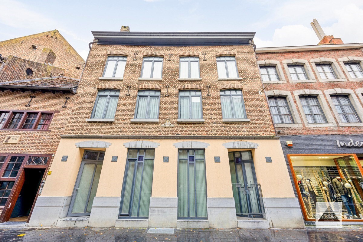 Burgerhuis 'Den Golden Naegel' - aan de Markt - lift - overdekte parking - IN PRIJS VERLAAGD! 