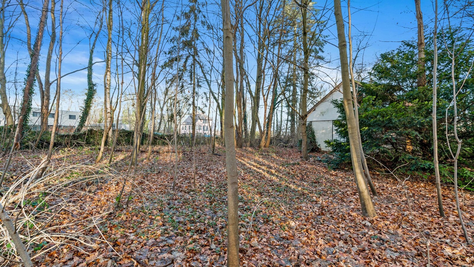 Te koop grond - Pellenberg