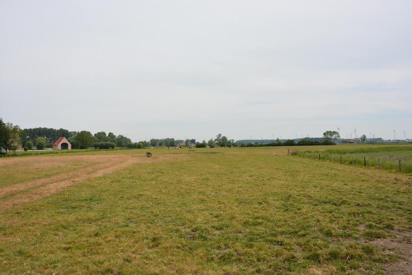 Goed gelegen stuk weiland 