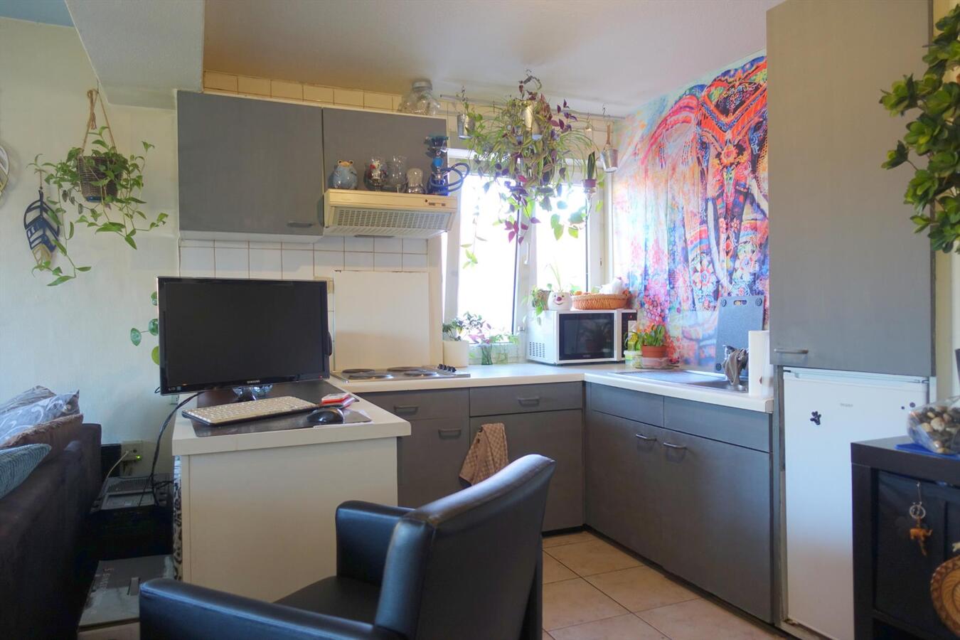 Knus éénslaapkamerappartement op wandelafstand van hartje Brugge 