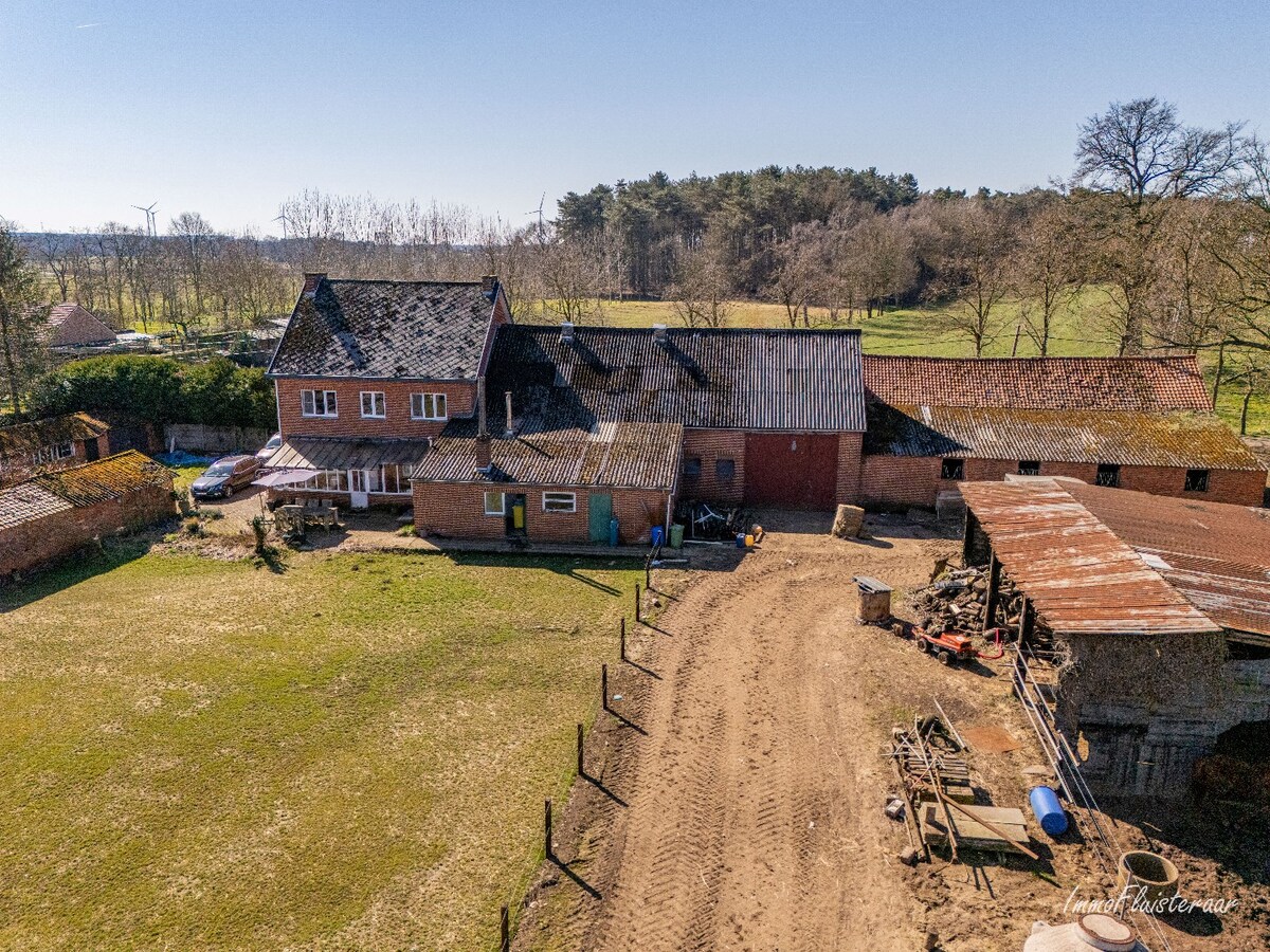 Ruime woning met stalgebouw op ca. 2,9 ha te Meerhout (Optie aankoop ca. 3 ha extra weiland) 