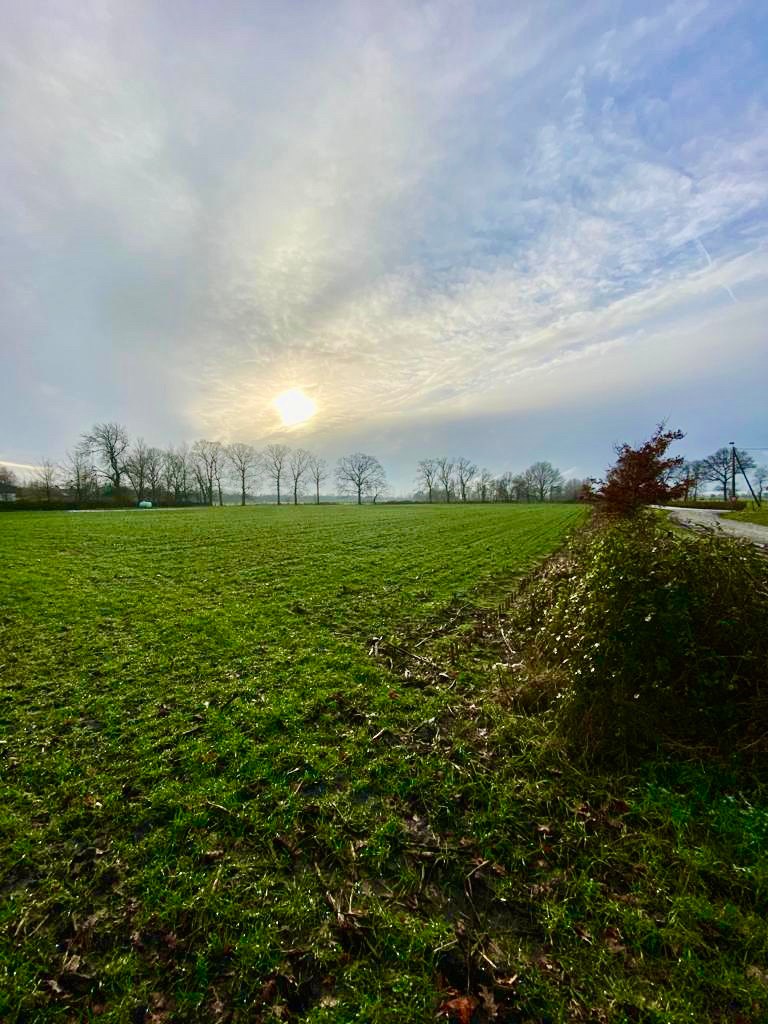 Ruim perceel grond van 15.660m² gelegen in recreatiegebied met diverse mogelijkheden 