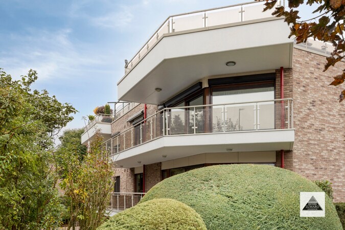 Te koop appartement - Maaseik