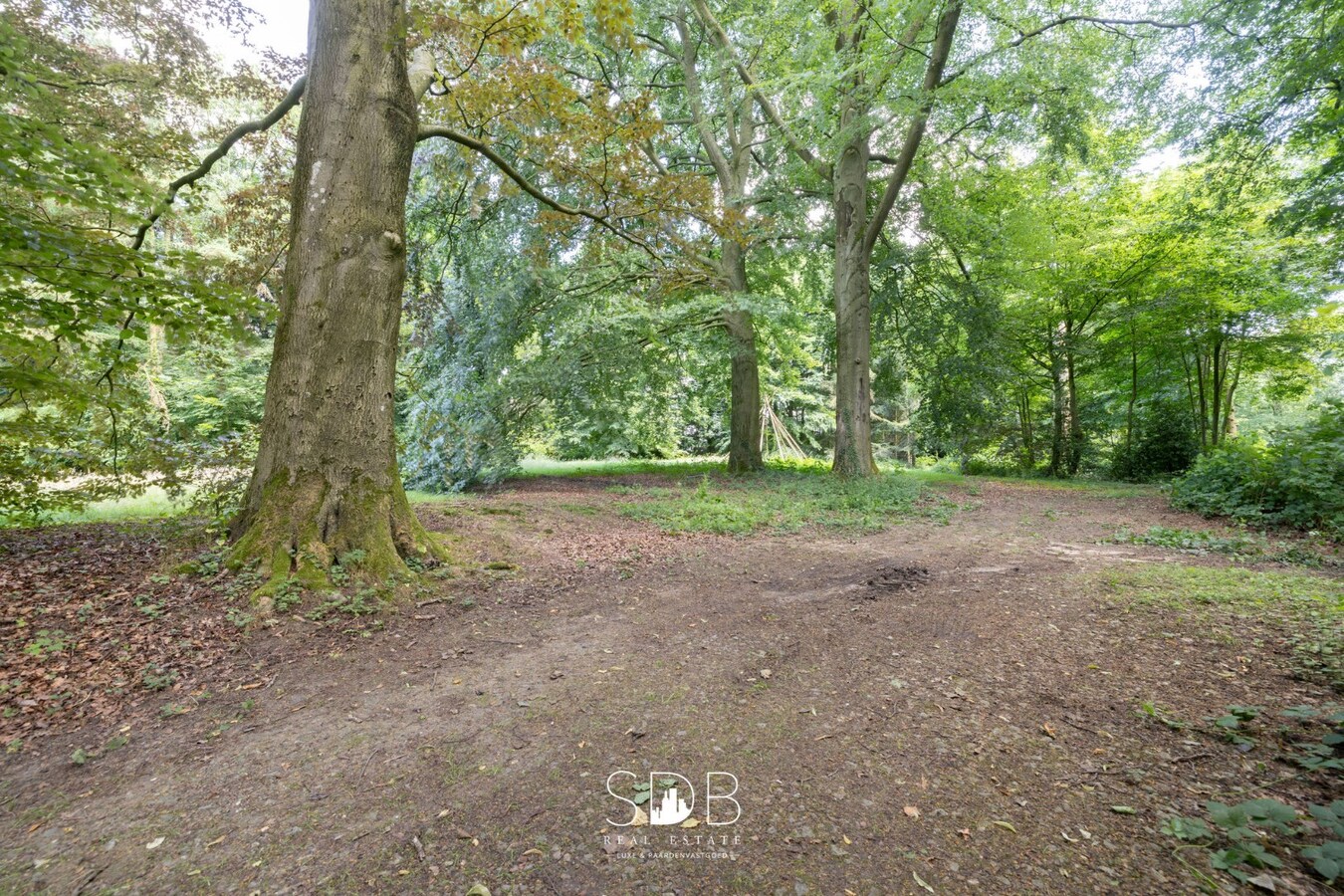 Prachtig kasteel met omringend park, weilanden en stalgebouw op circa 5hectare 