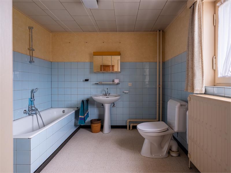 Ruime hoeve met grote schuur en veel potentieel. 