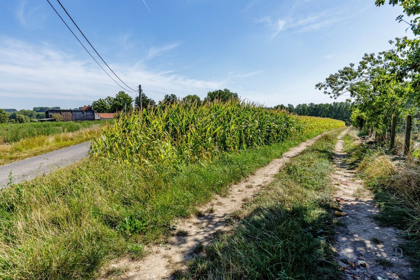 Exceptioneel gelegen bouw- en landbouwgrond te Michelbeke. 