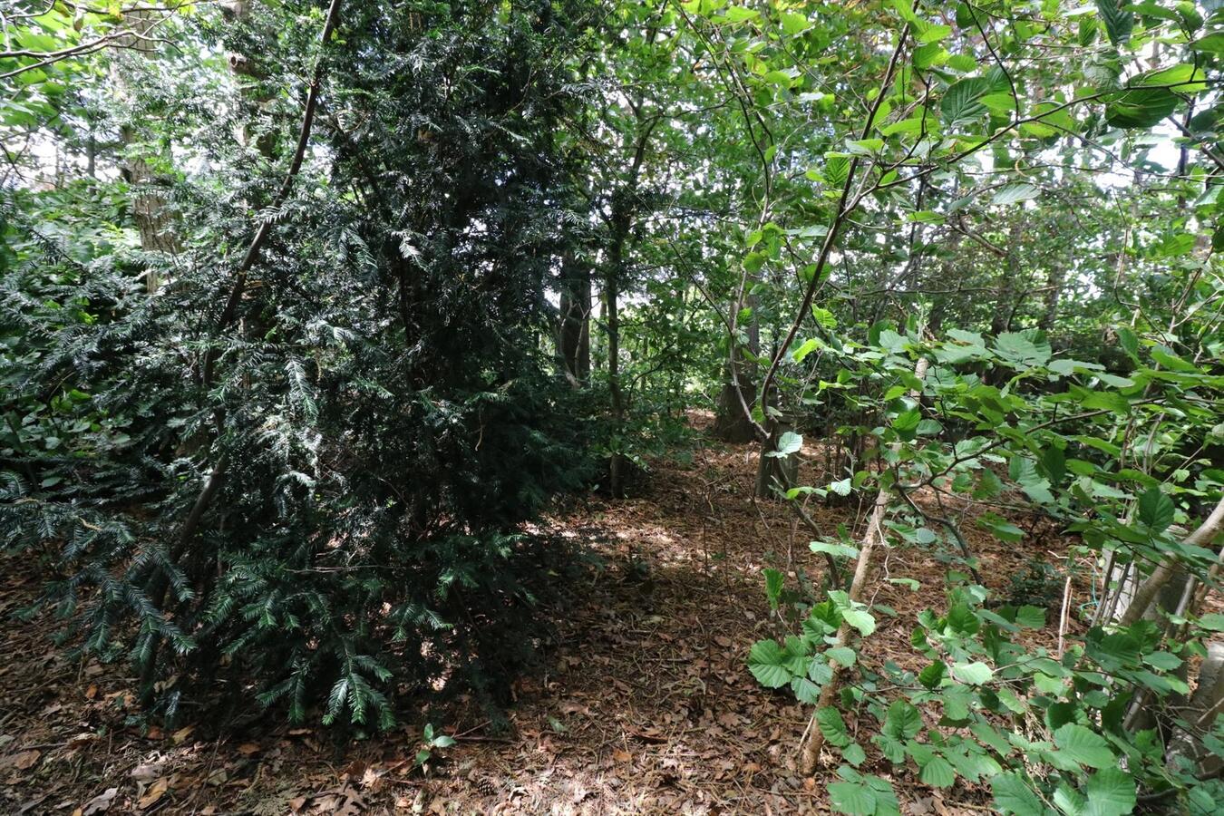 Woning met mogelijkheid tot commmerciële ruimte op 1398m² te Aartrijke 