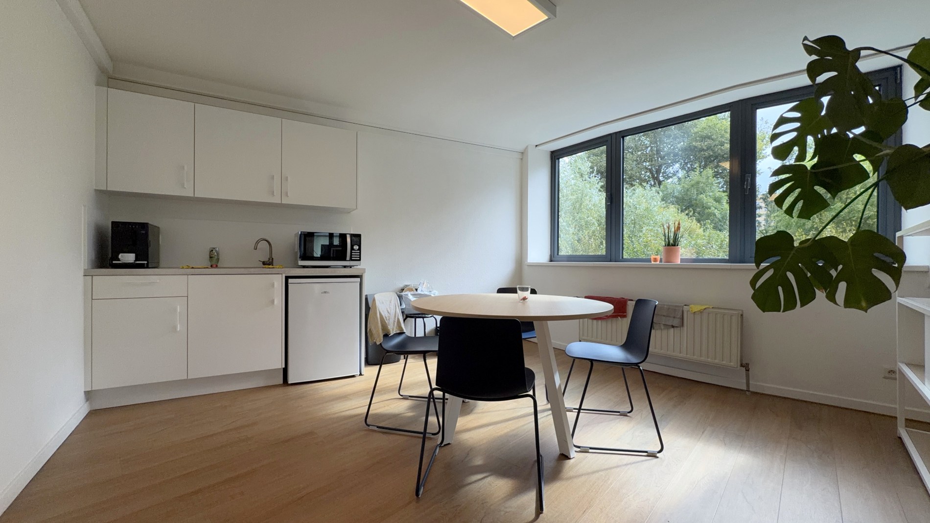 Instapklare kantoren te huur aan N60 in Gent